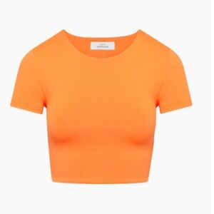 Aritzia Babaton - CONTOUR CREW CROPPED T-SHIRT